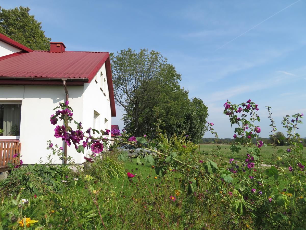 Фермерские дома Agrocamp Pawłówka-24